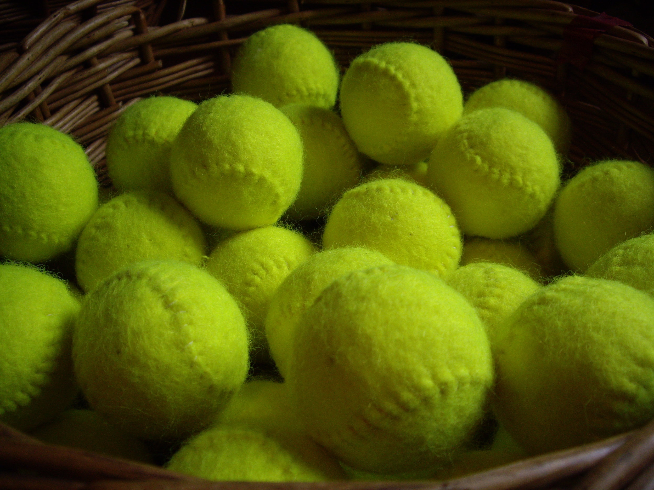 Prince Championship Racquet Tennis Balls Dozen 