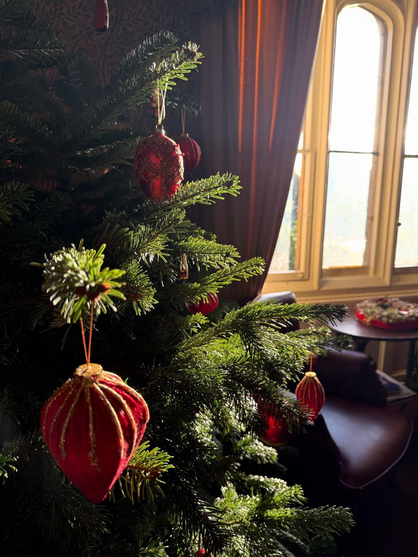 🎄We wish you all a very happy winter season!🎄Sun streaming into the club rooms last Thursday. Lovely. 🎾Remember - keep your eye on the baubles at all times!🎾#royaltenniscourt #courttennis #realtennis