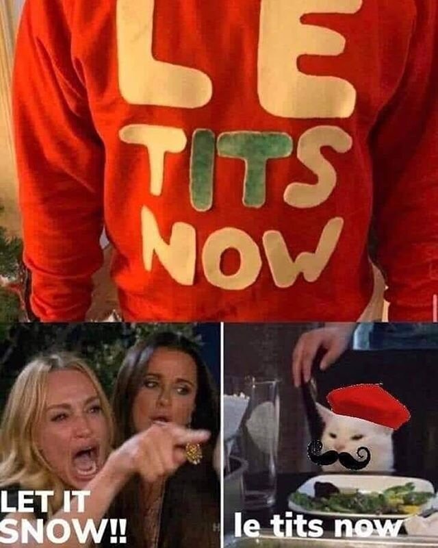 The nation faces another quandary - is it &quot;LET IT SNOW&quot; or &quot;LE TITS NOW&quot;? #funny #meme #christmasmemes #funnymemes #letitsnow