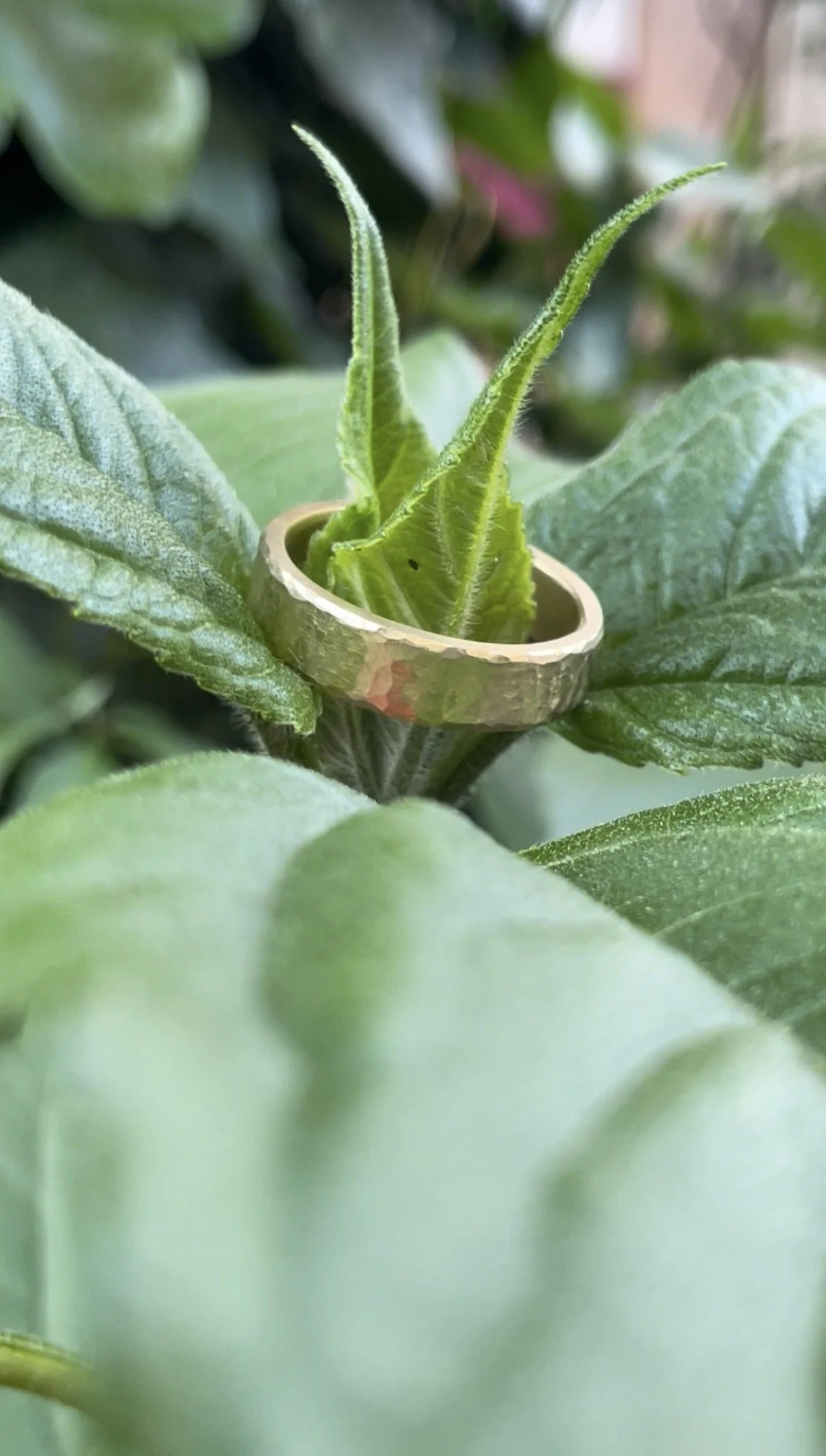 Ehering Workshop Erlangen