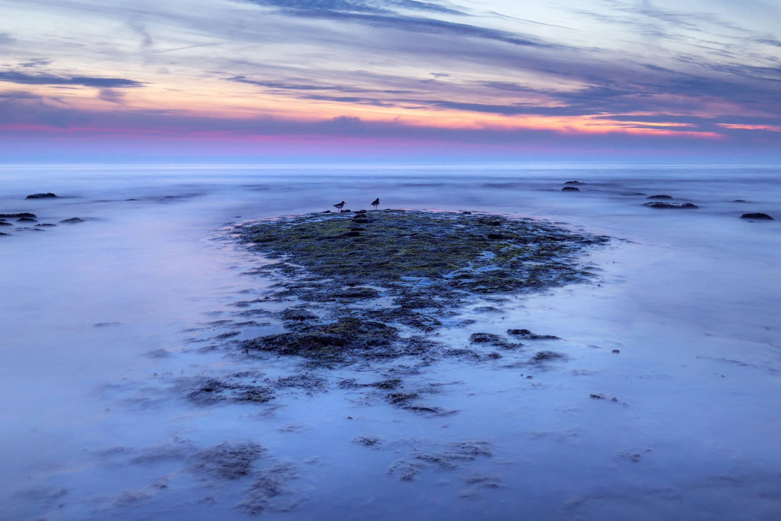 Het blauwe uur