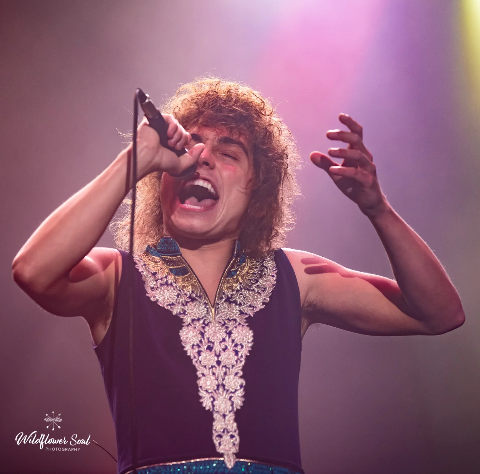 Greta Van Fleet Freedom and Harmony — The Amp