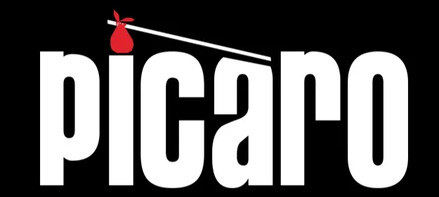 picaro_header.jpg