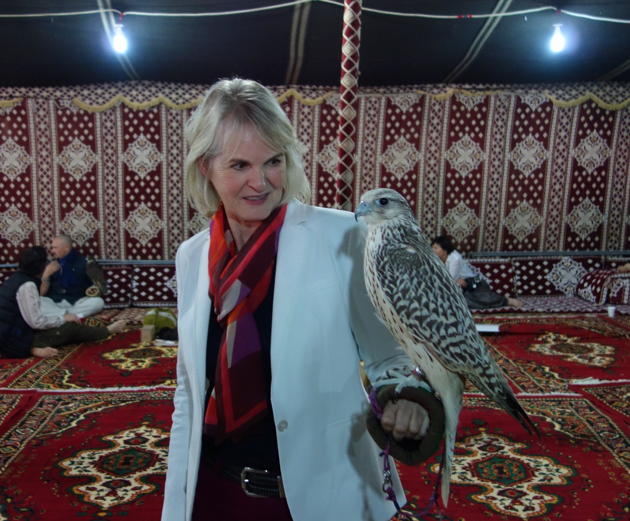  …and a real falcon in Abu Dhabi 