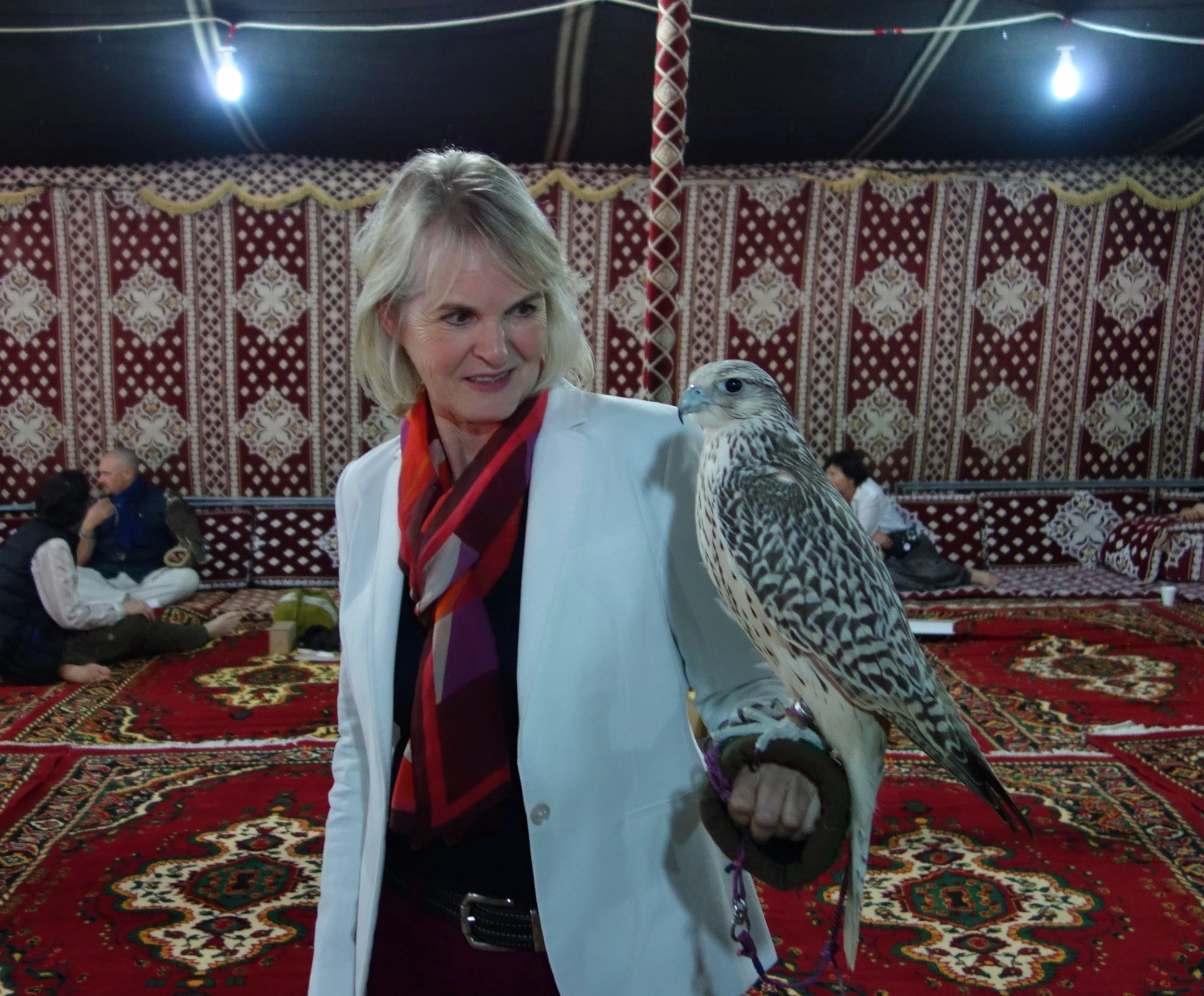 …and a real falcon in Abu Dhabi