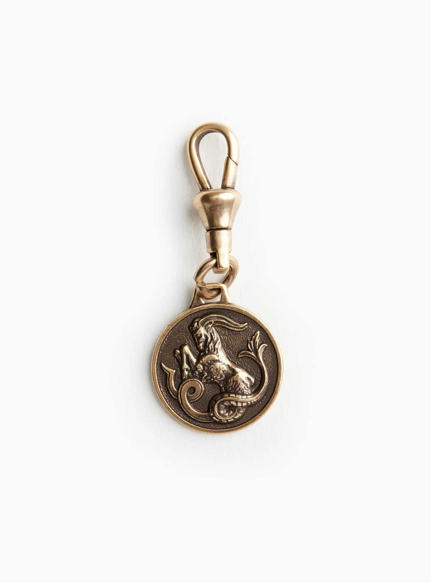 Zodiac_Charm_Aquarius_161.jpg