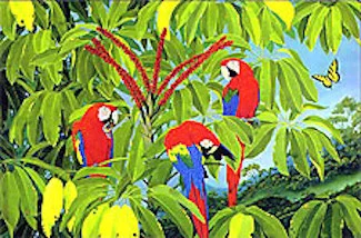 Scarlet Plumage and Schefflera Blooms