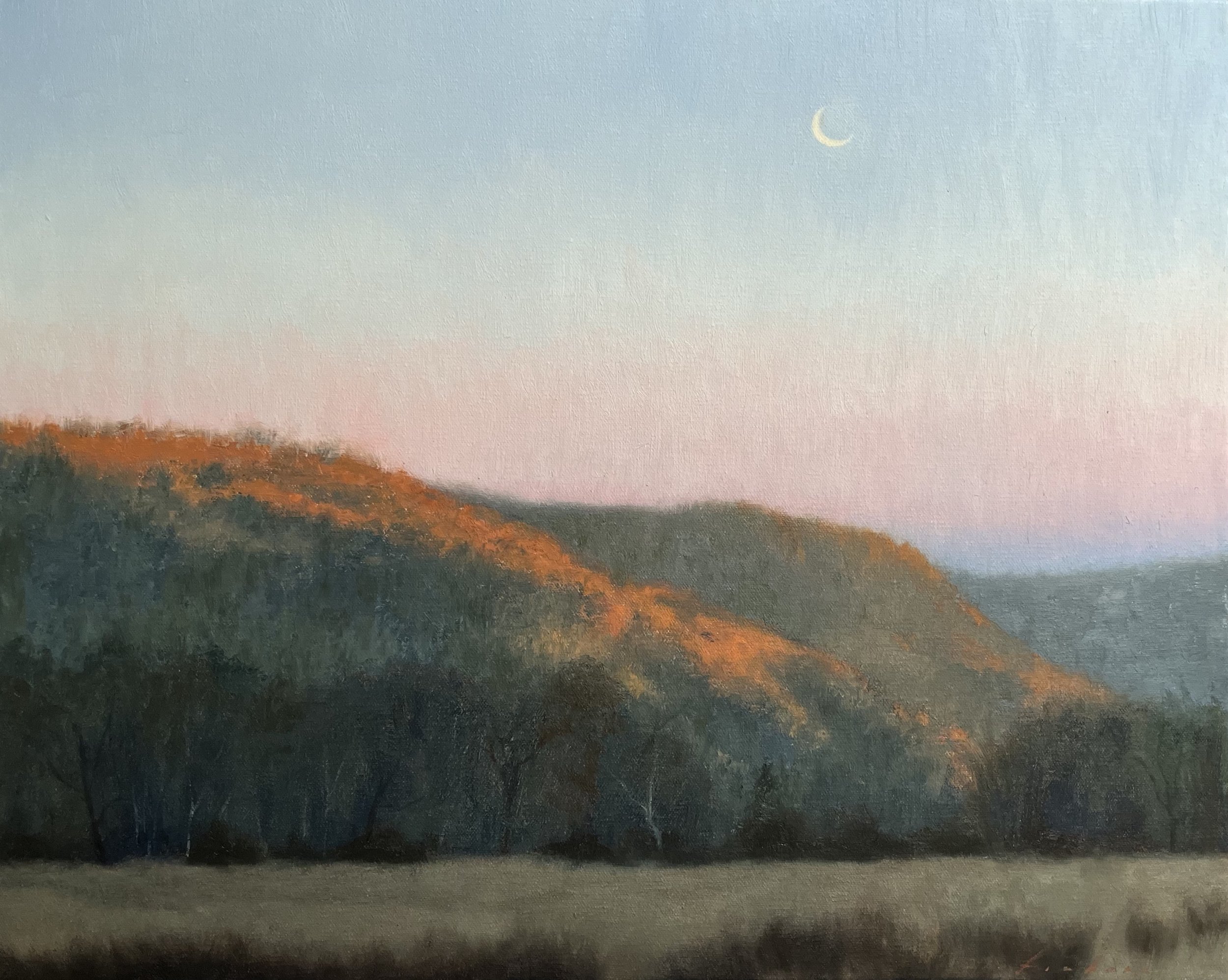 No Witness But The Moon