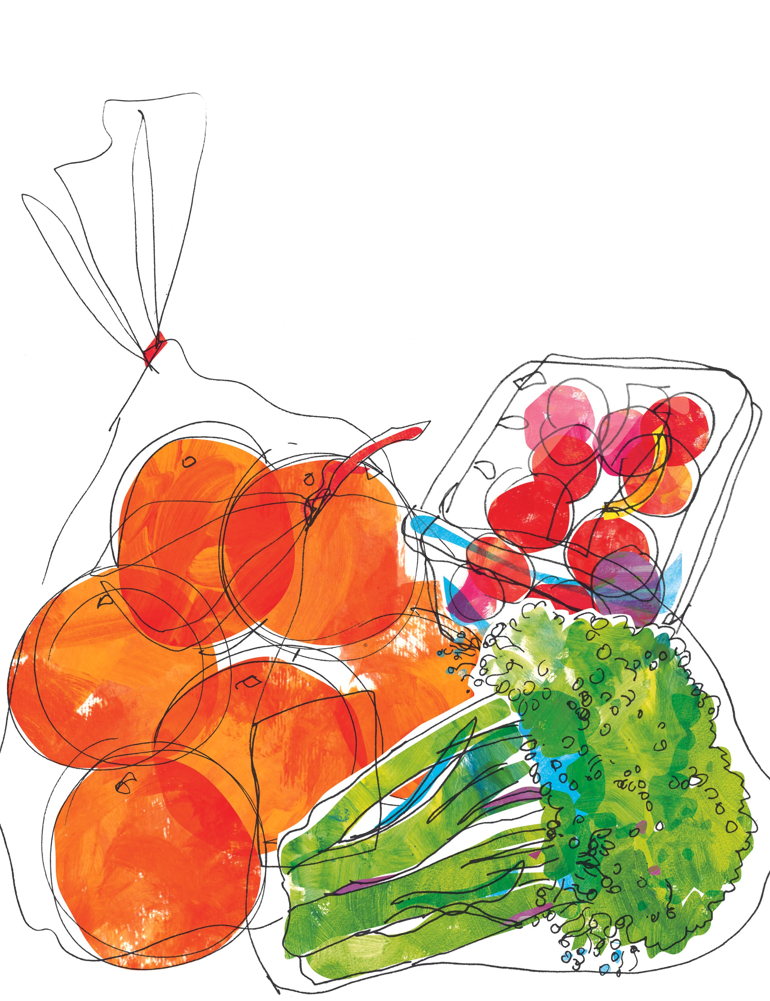 wegmans groceries_flat.jpg
