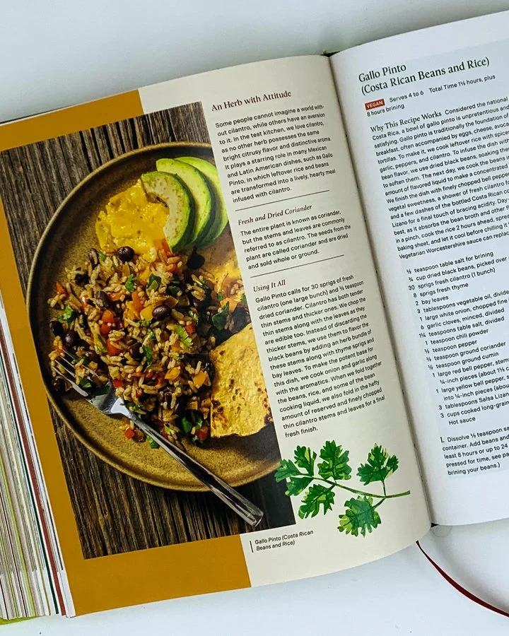 Cilantro.jpg
