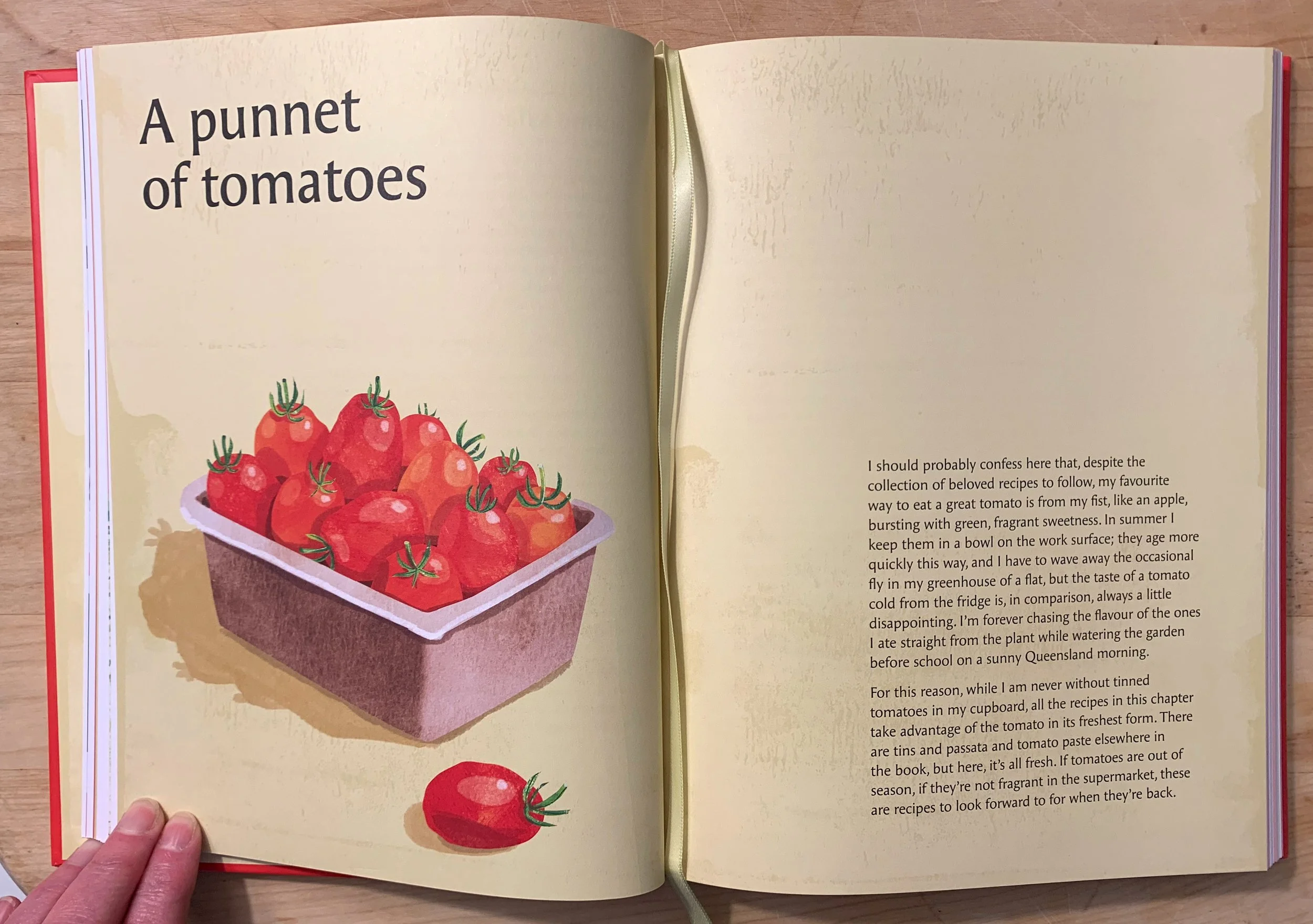 food illustration of tomatoes