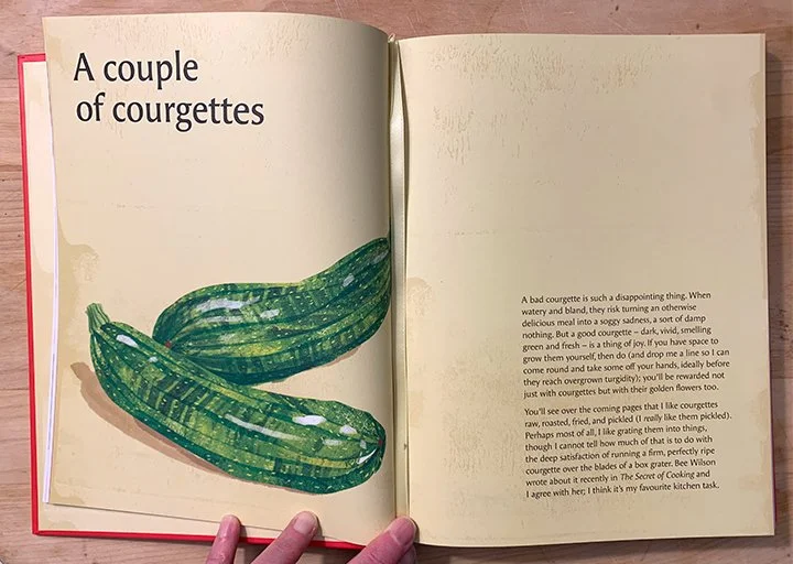 food illustration of courgette or zucchini