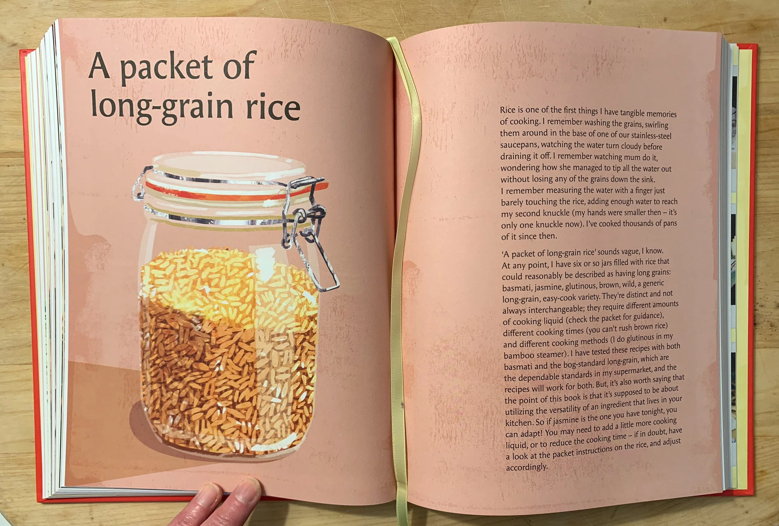 food illustration of rice