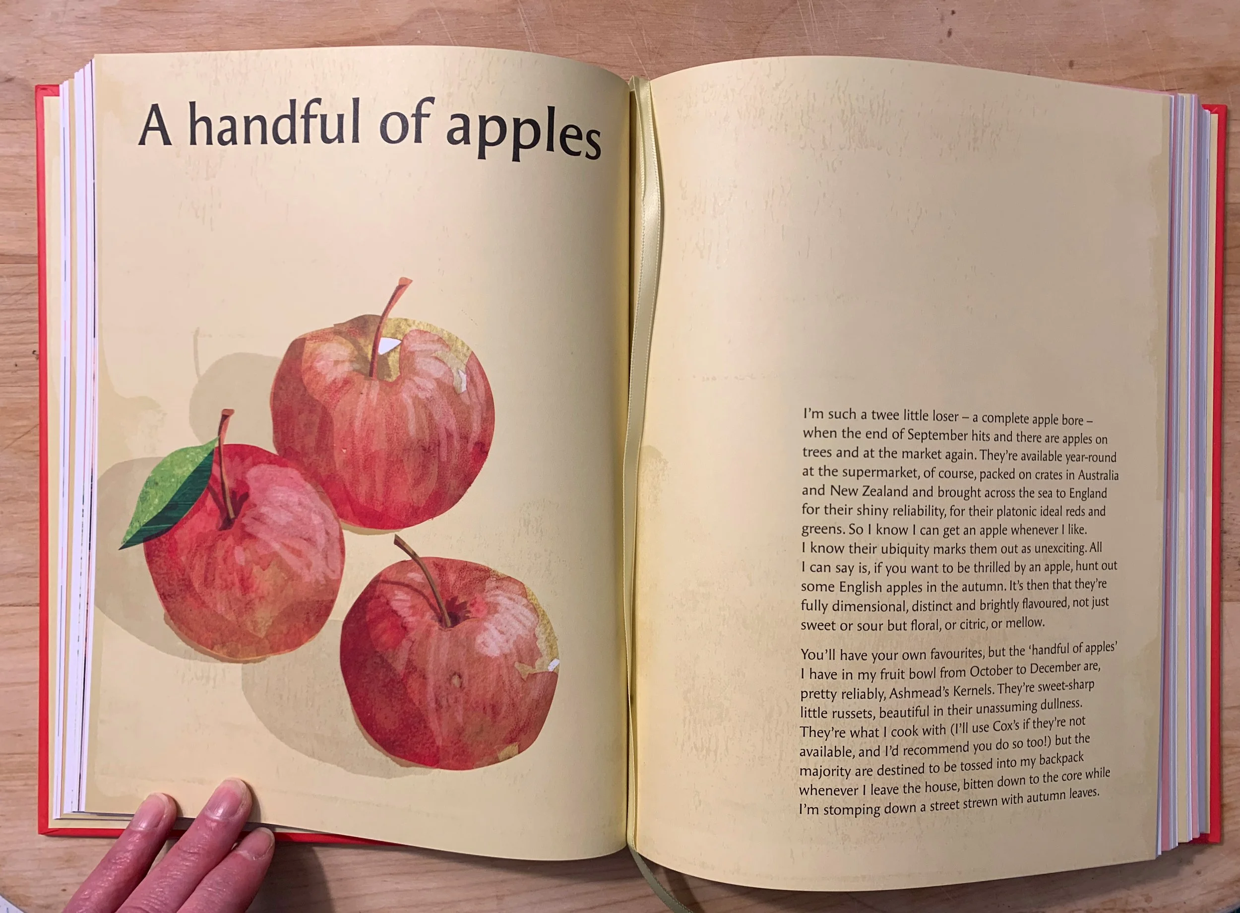 food illustration of three apples