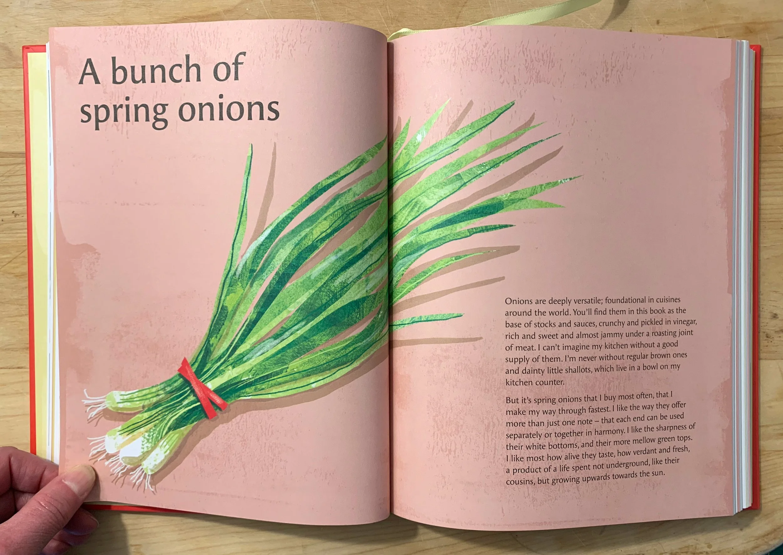 food illustration of spring onions or scallions