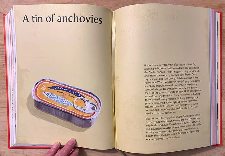 food illustration of anchovies