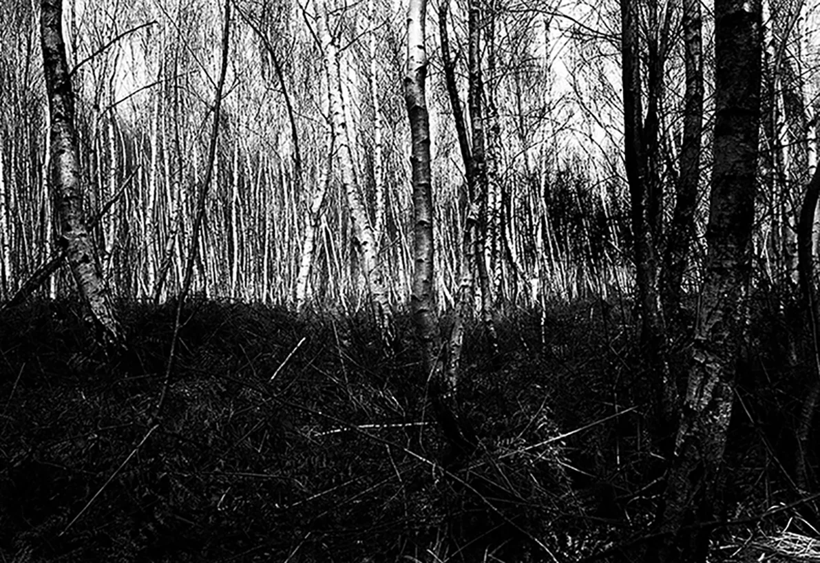 photo T Valencin 2.jpg