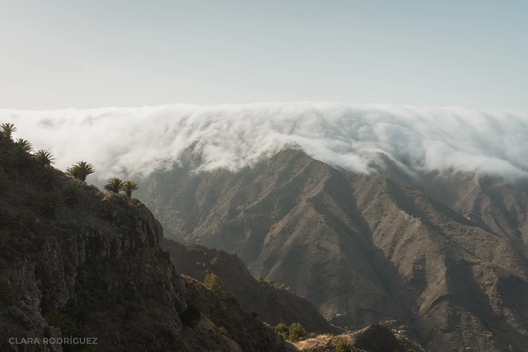 El Alto del Garajonay cubierto por la niebla que le caracteriza