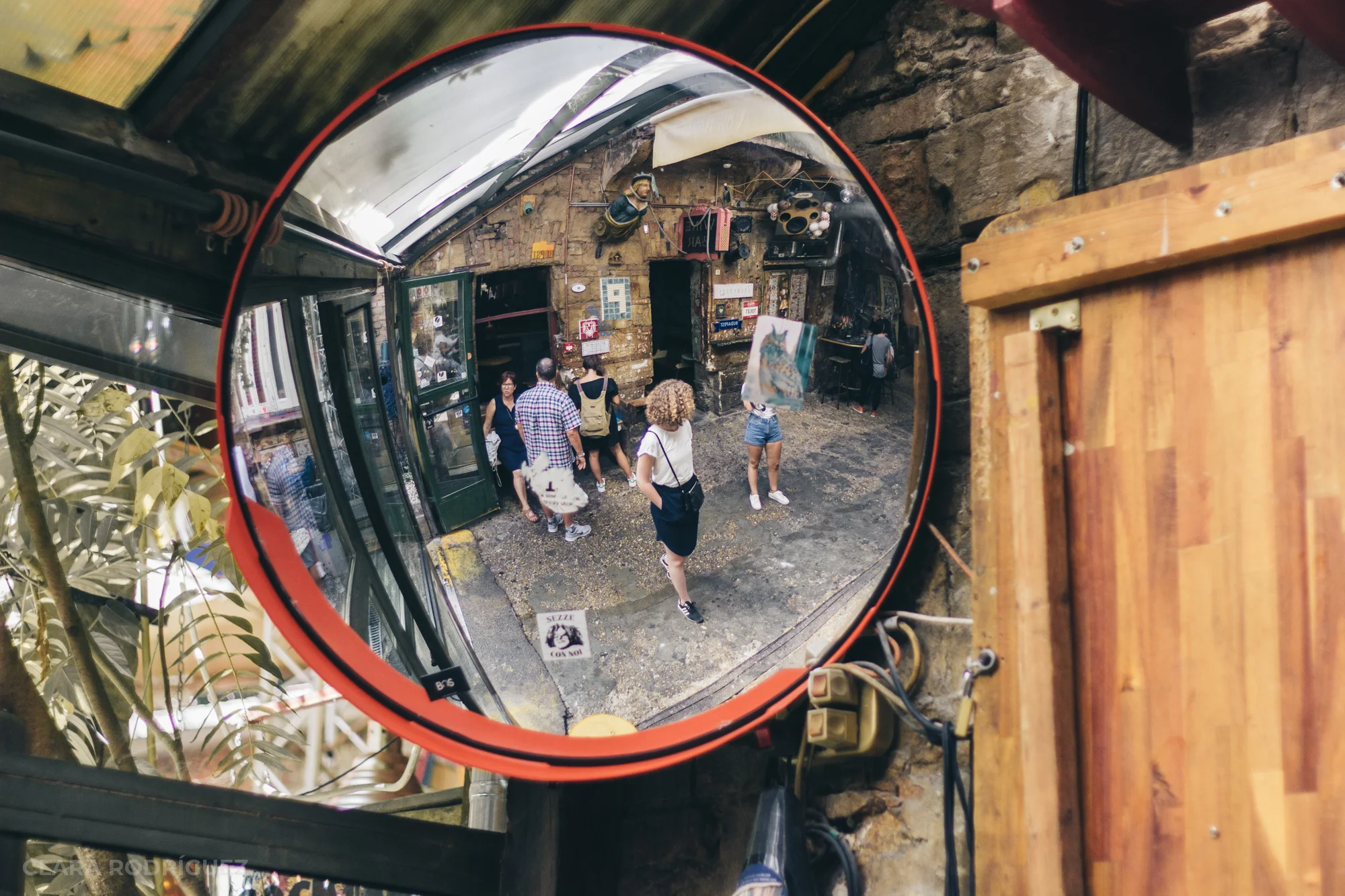 Simpla Kert