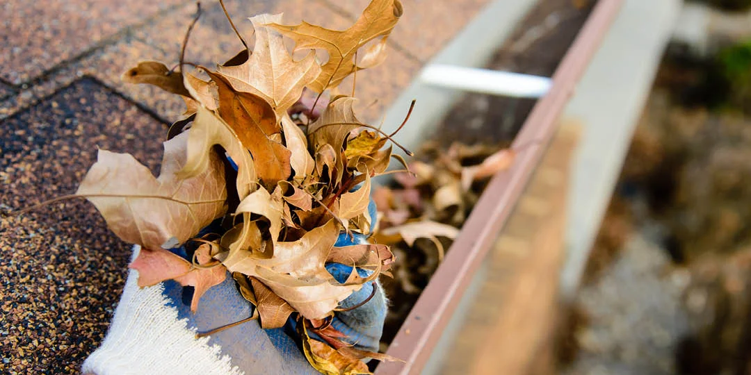 4 Reasons To Clean Your Gutters Annually