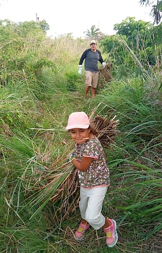 Fevergrass Foraging with Daddy.jpg