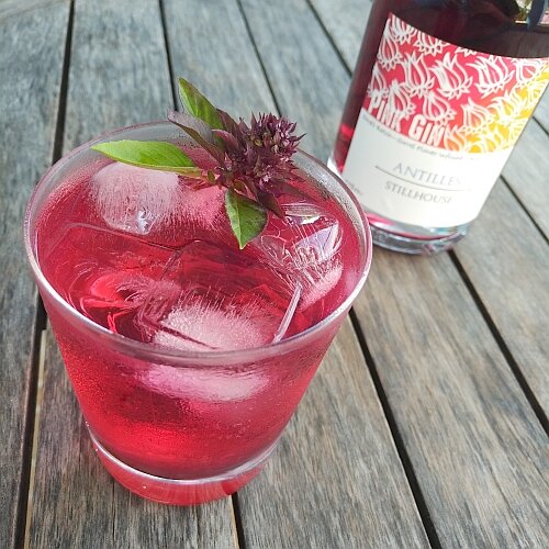 Pink Gin G and T.jpg