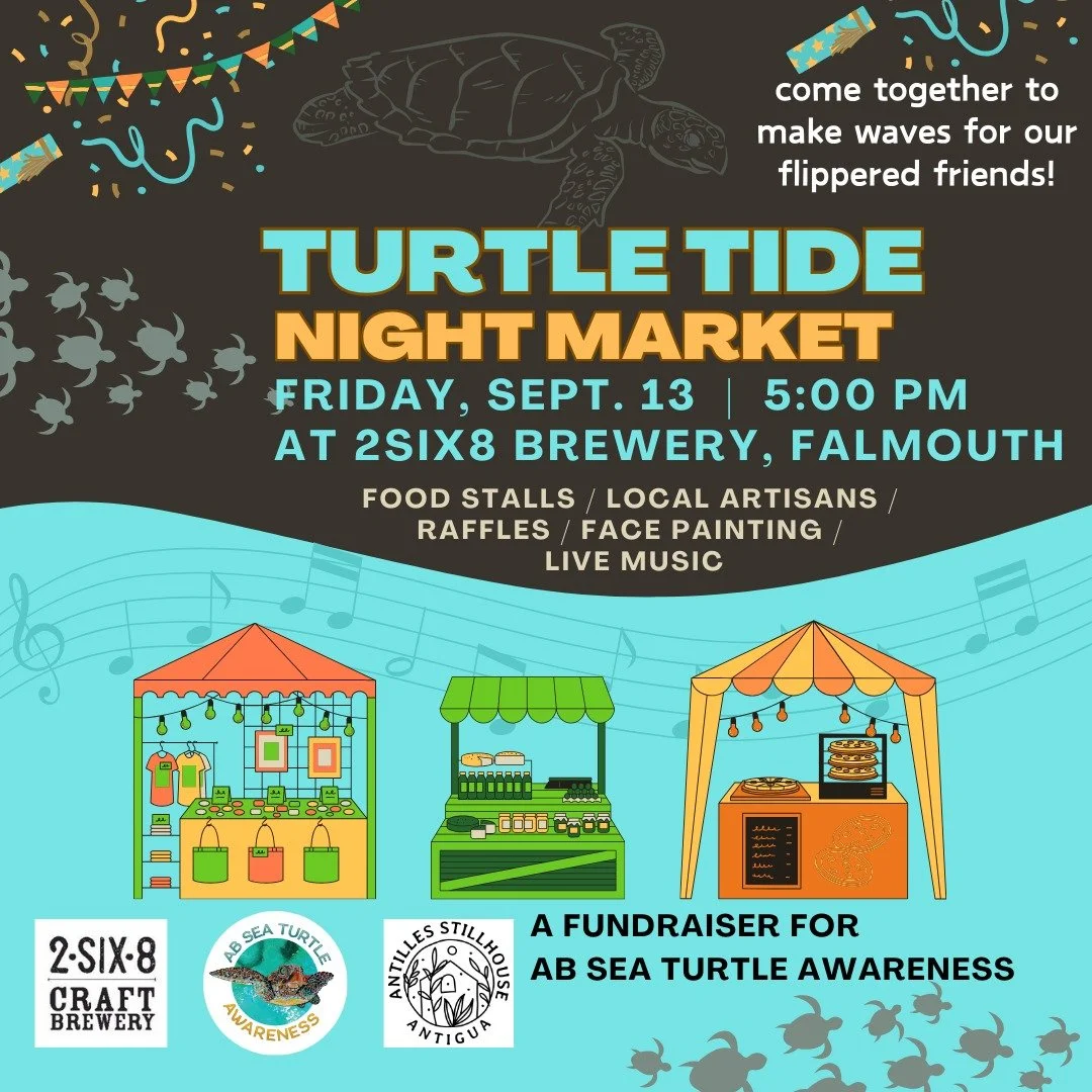 Turtle Tide Fundraiser and Night Market