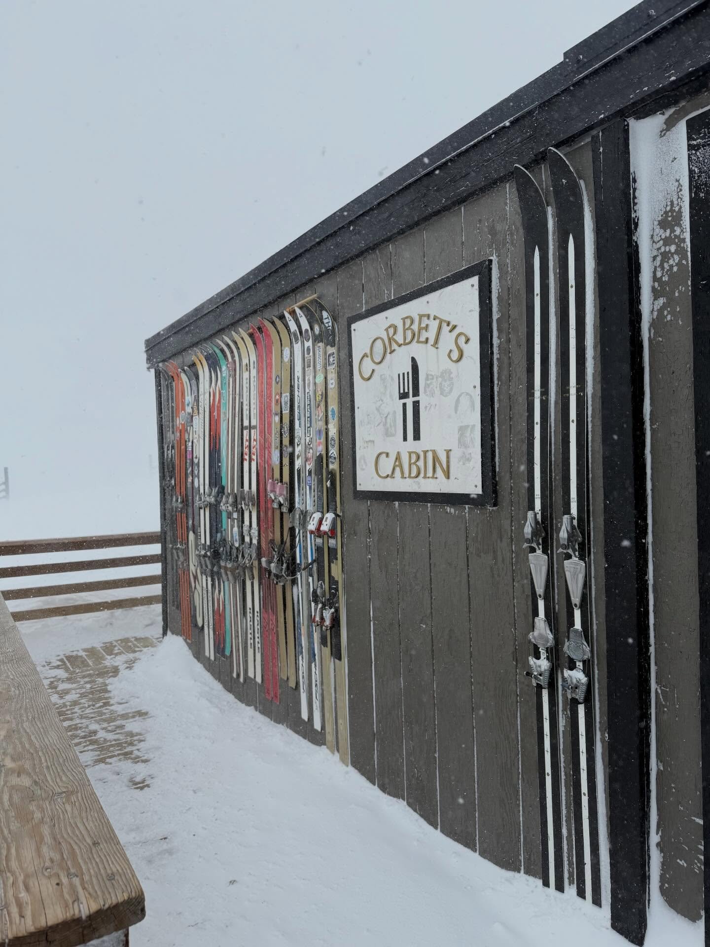 Pre/Mid/Post ✨ 2026 ✨ Sweetest times with friends and fam to end + start the year 🫶🏻