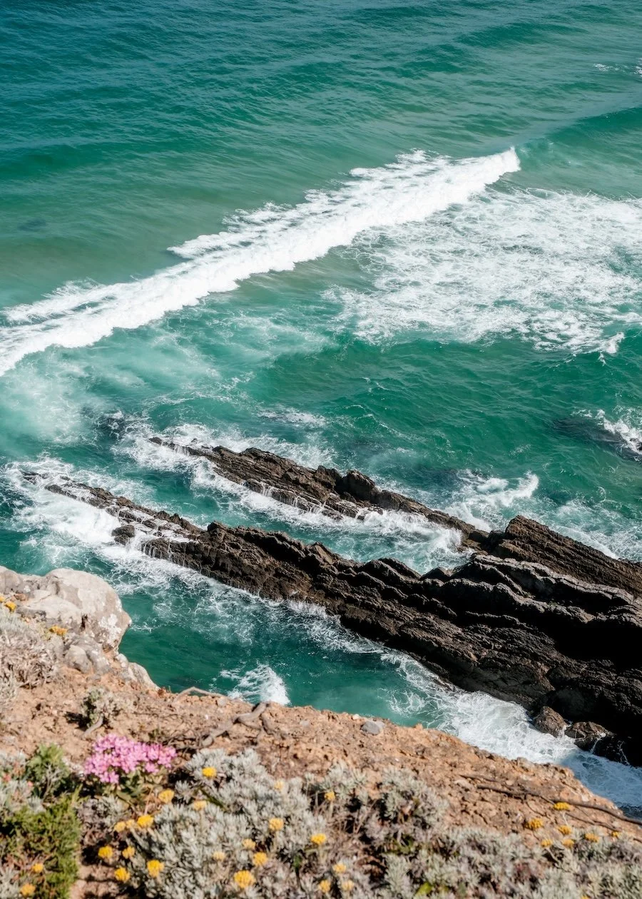 Waves crash over a rock coastline, framed by pink wildflowers