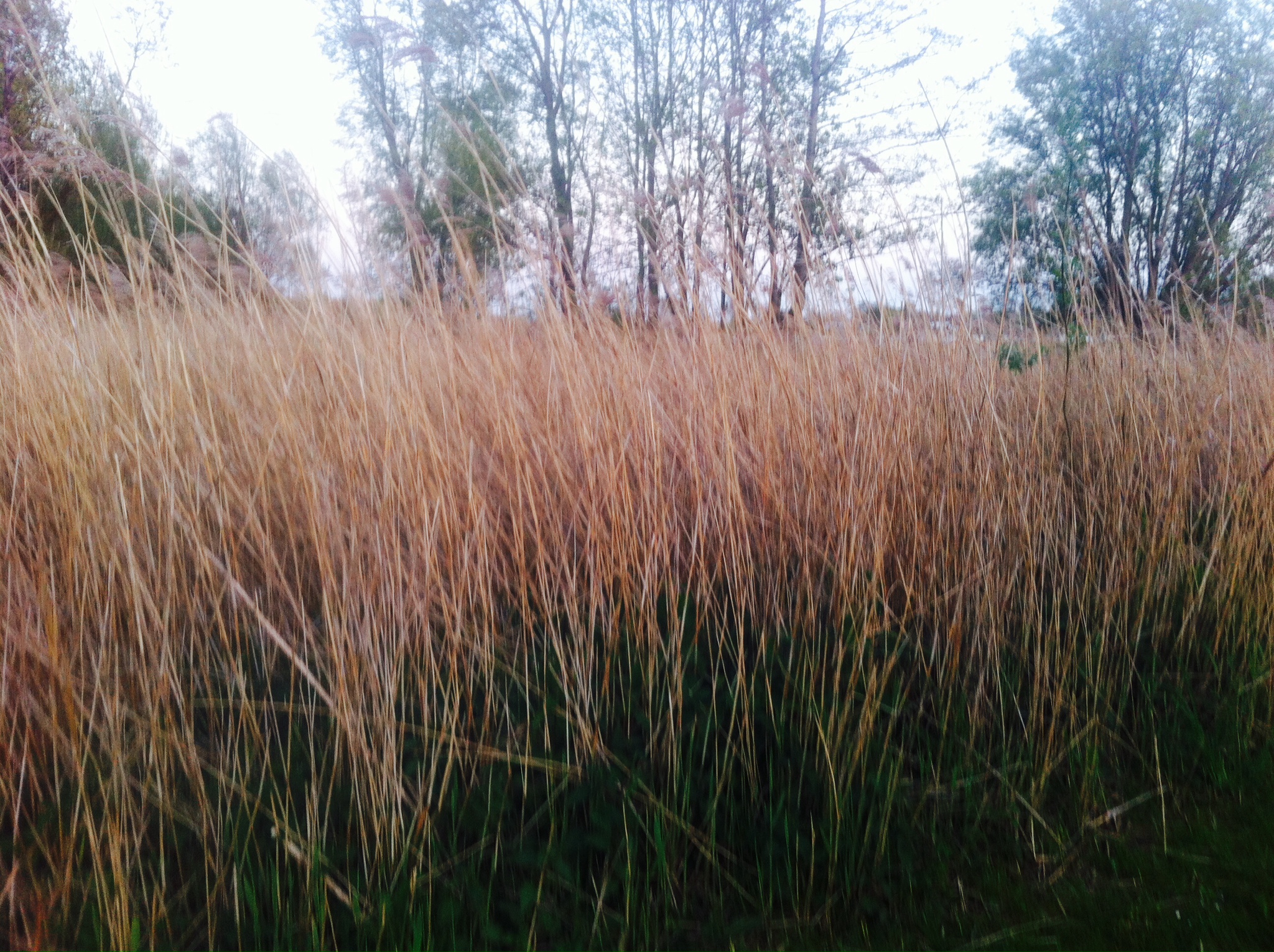 photo-2.jpg