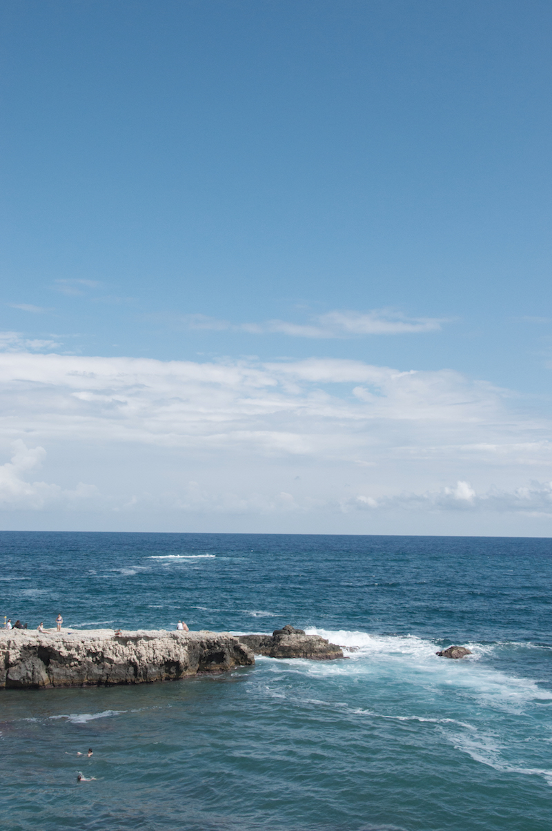 DSC_0010-L-copy.jpg