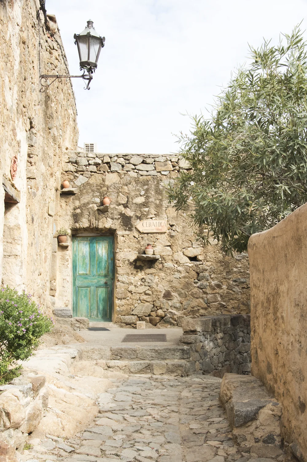 DSC_1111-L.jpg