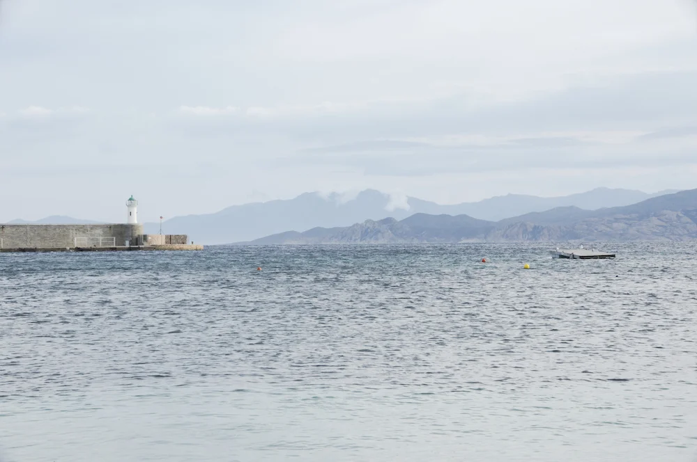 DSC_1480-L.jpg