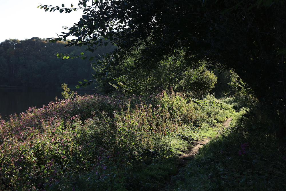Crabtree-33.jpg