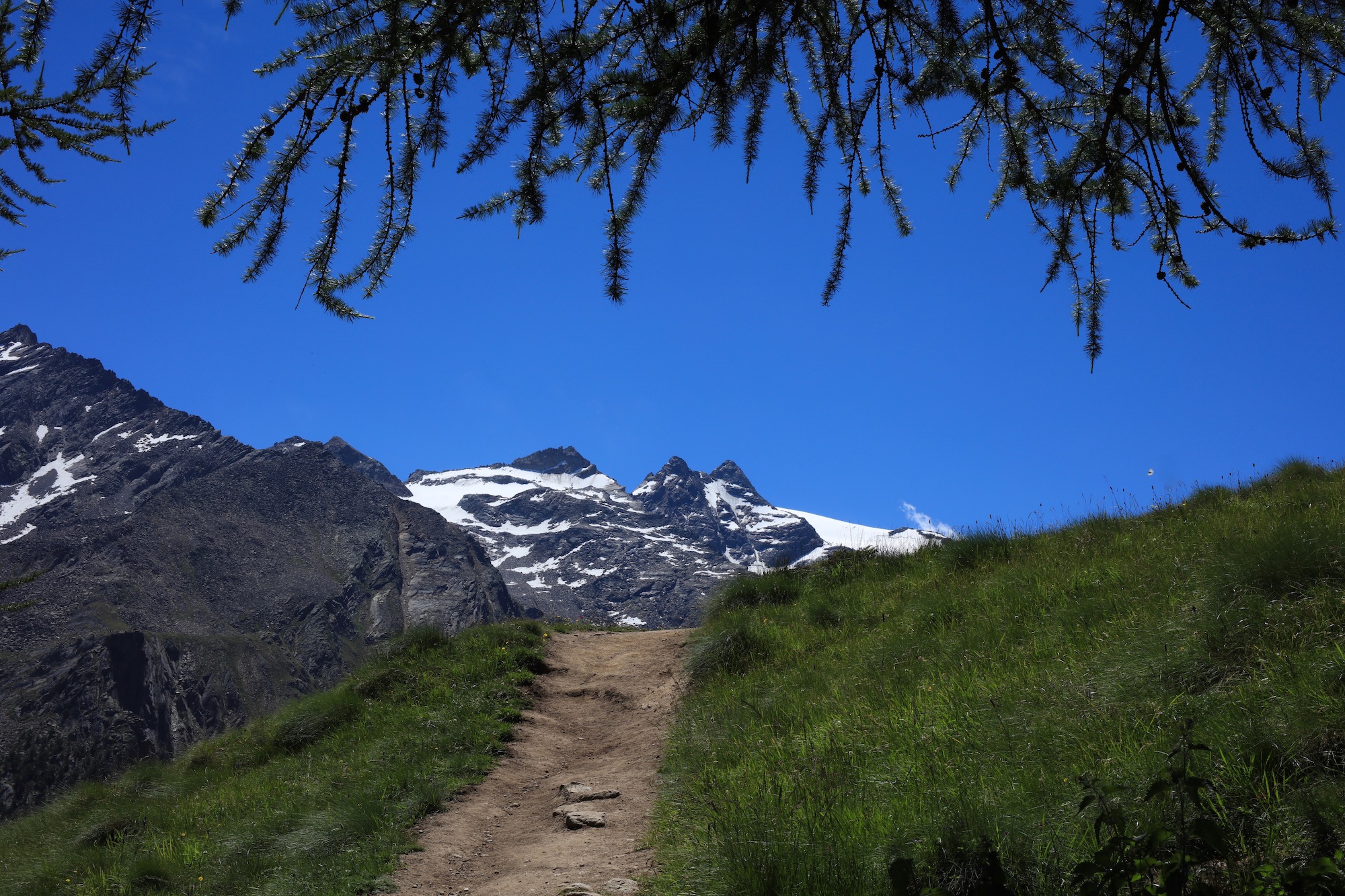 Cogne