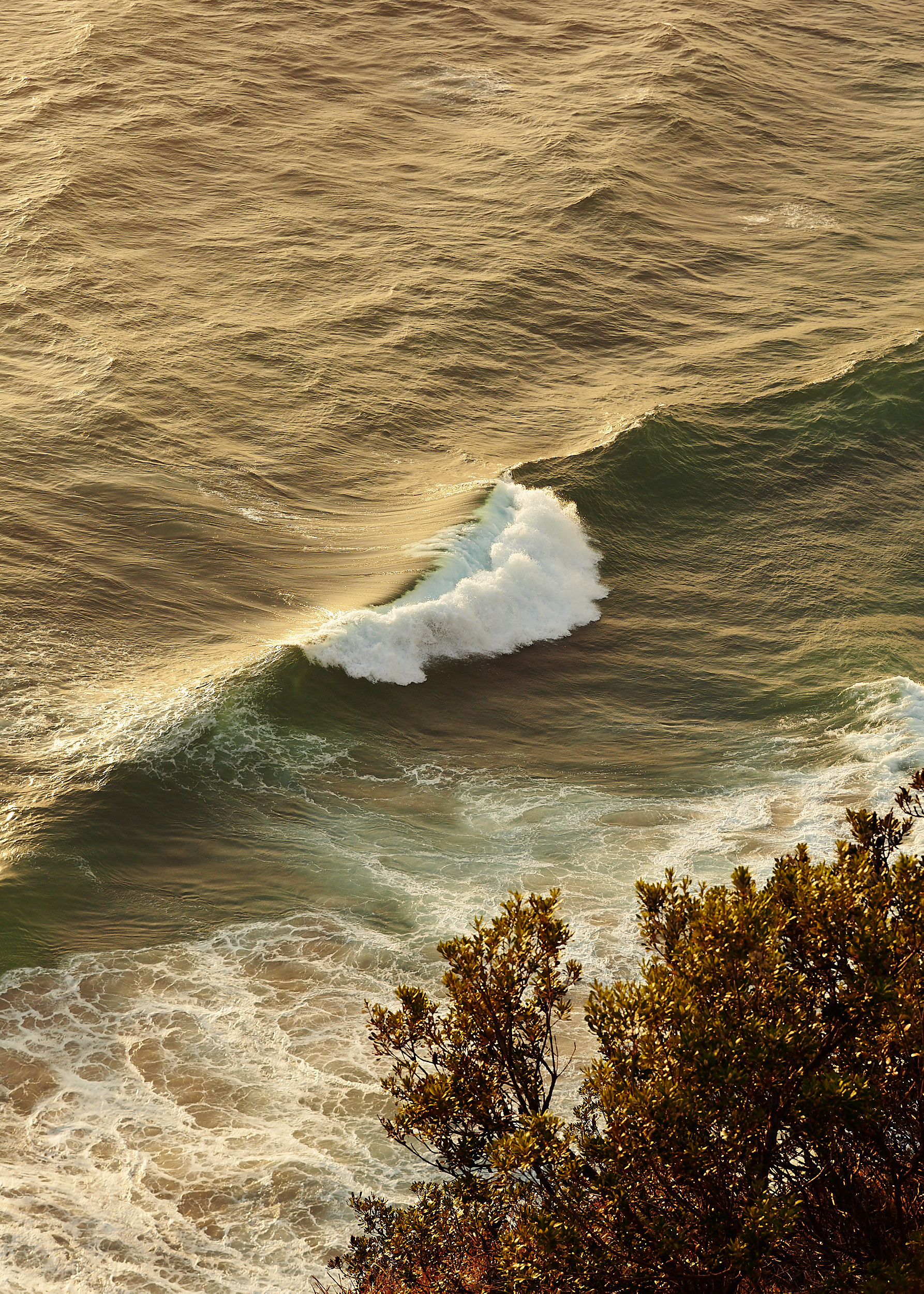 An Ode to the Coast
