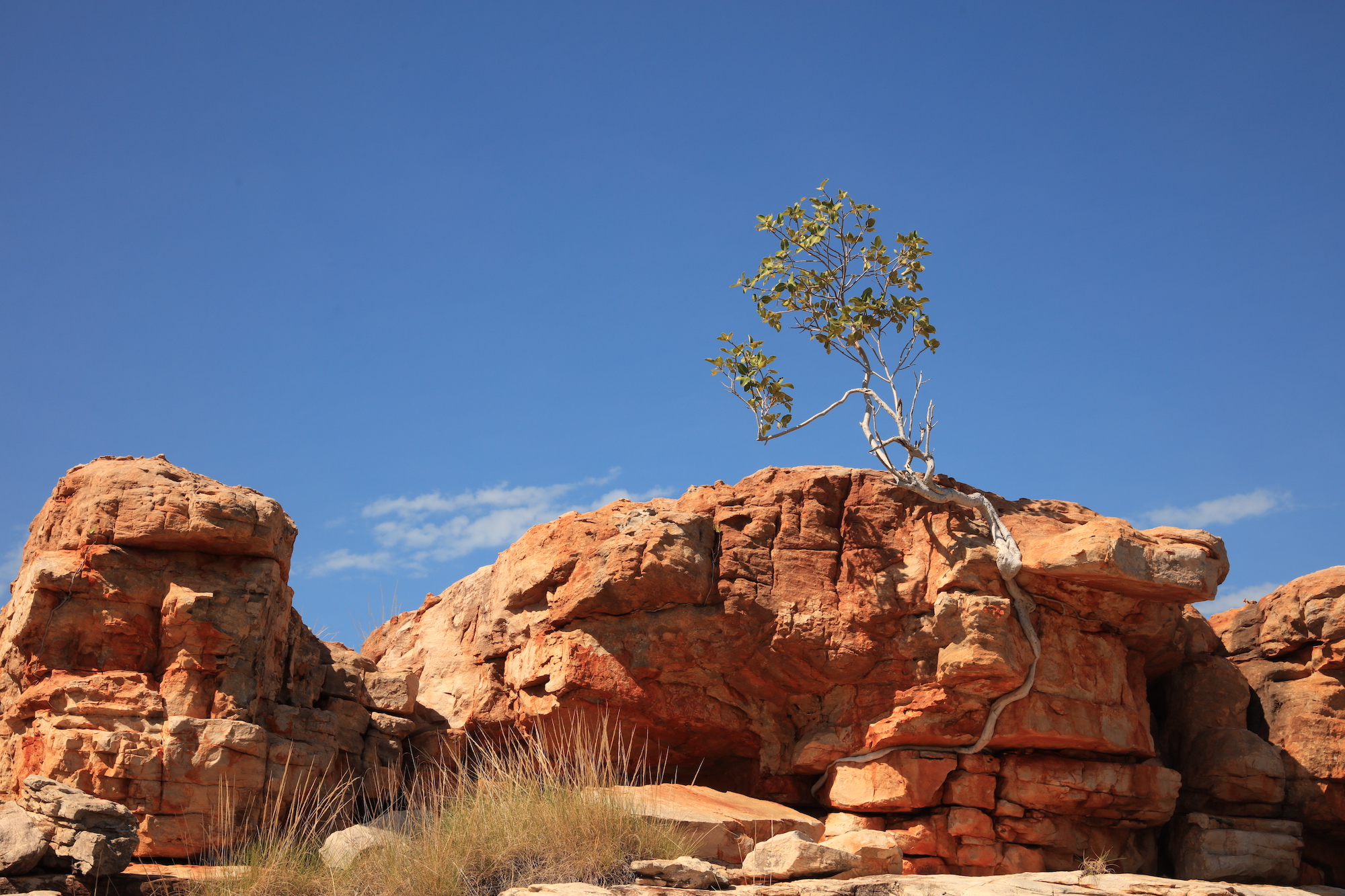 Colours of the Kimberley