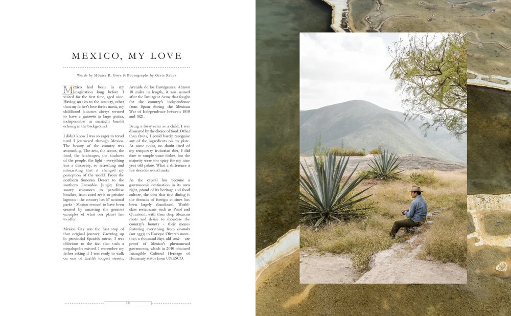 200308_Issue-13-Mexico-Layouts-DRAFT-9.jpg