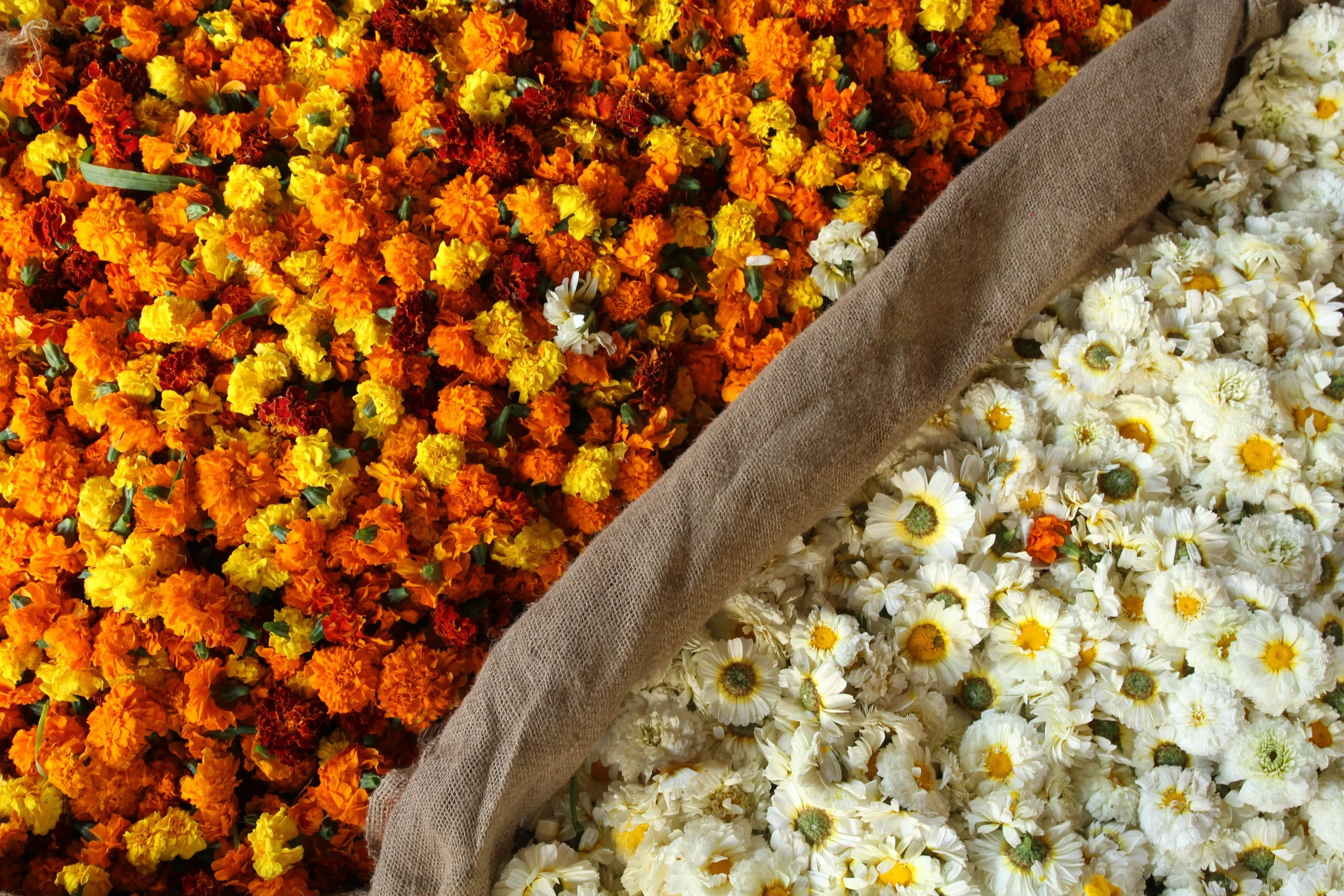 Delectable Destinations 