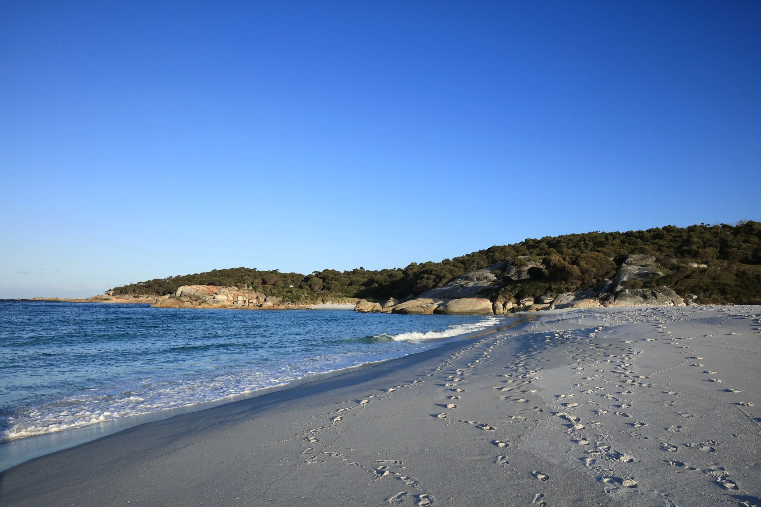 Back to the Tasmanian Coast &nbsp;