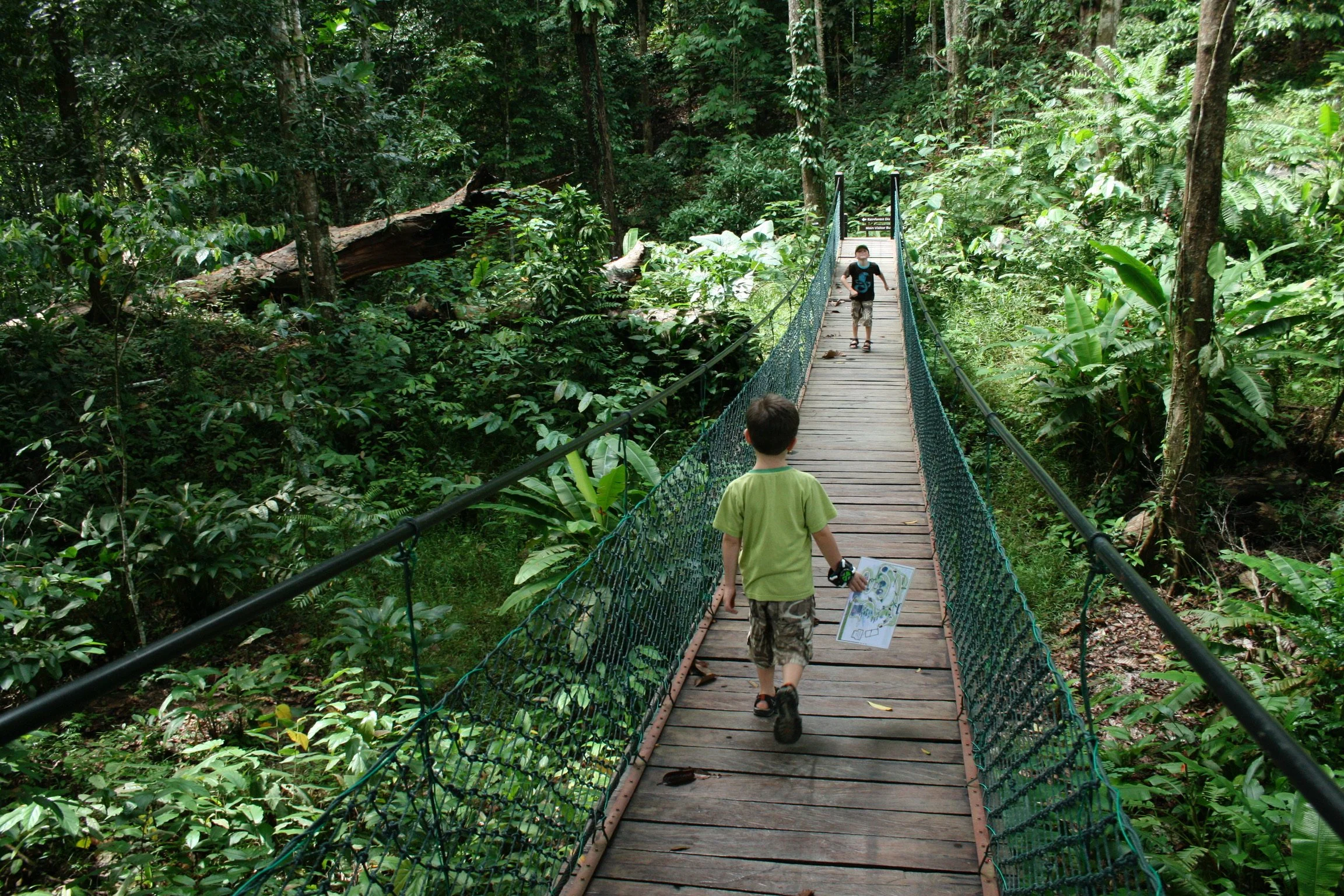 Shape of a Boy - My Family & Other Adventures