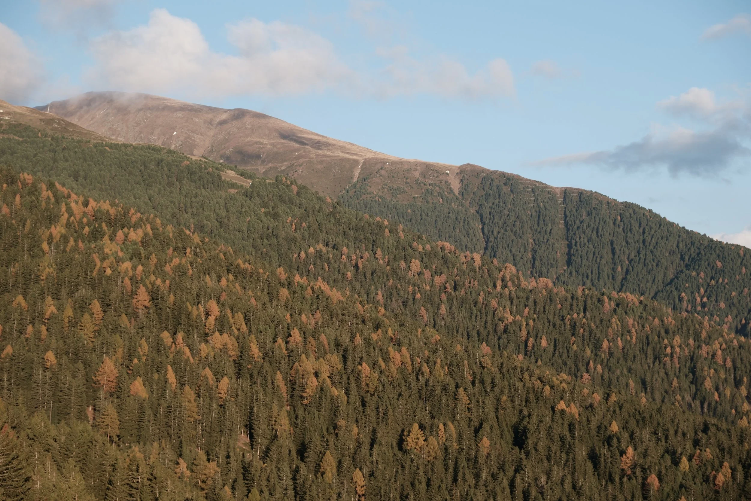 Hotel Review: Forestis Dolomites