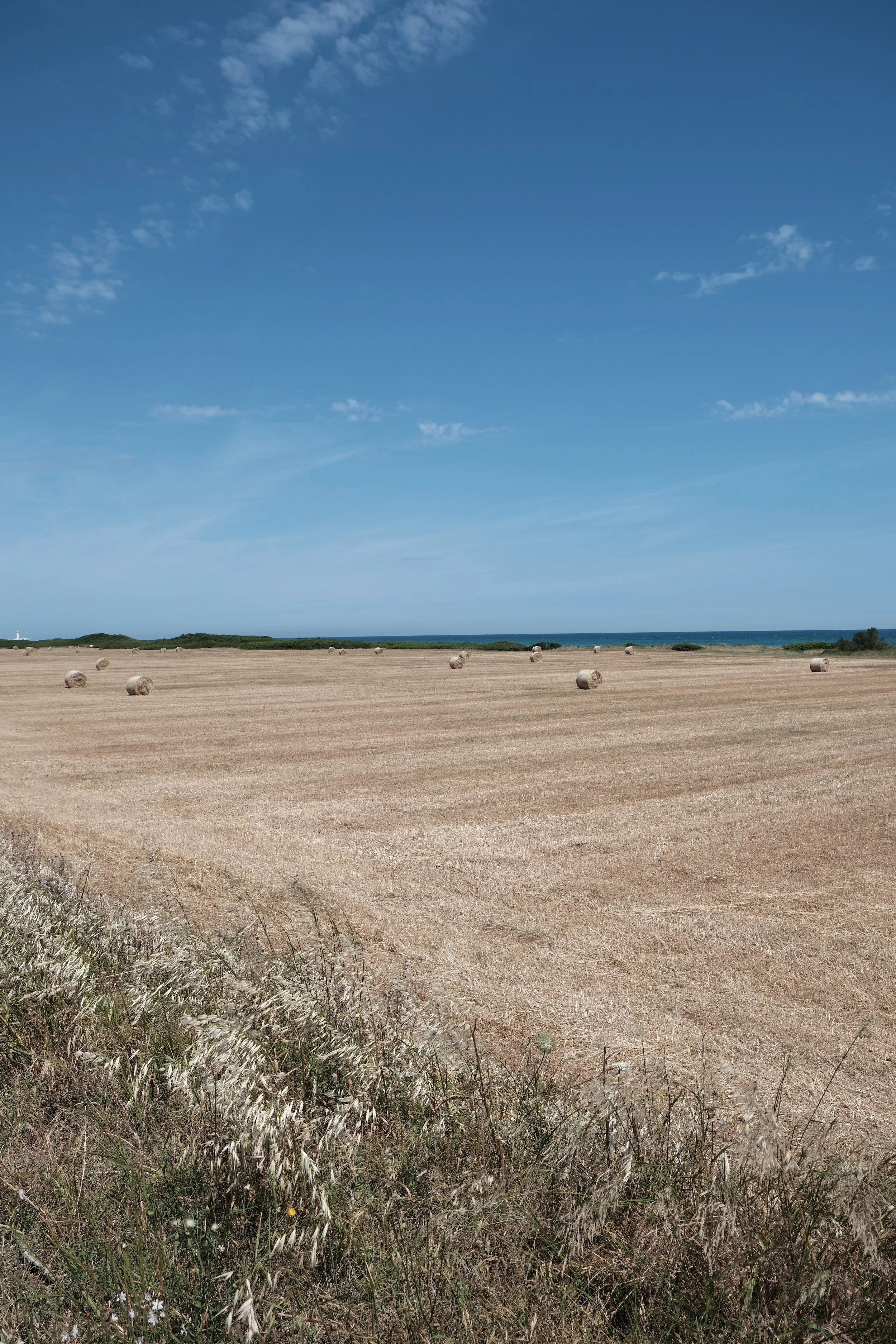 DSCF1268.JPG