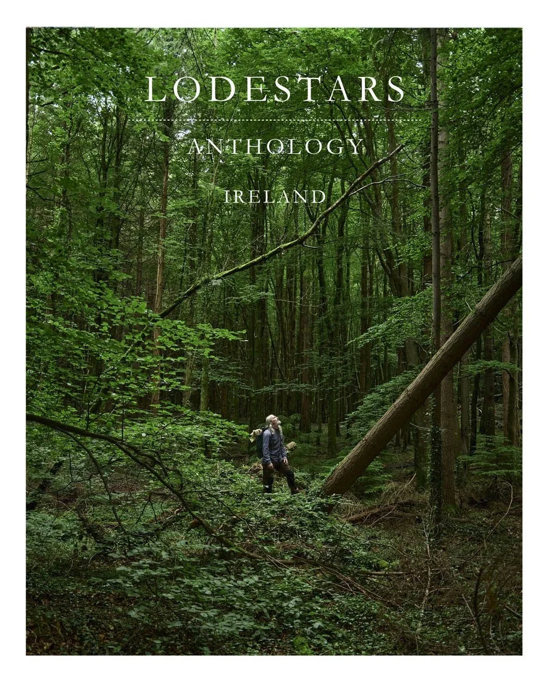 Lodestars-Anthology-Ireland-cover.jpg