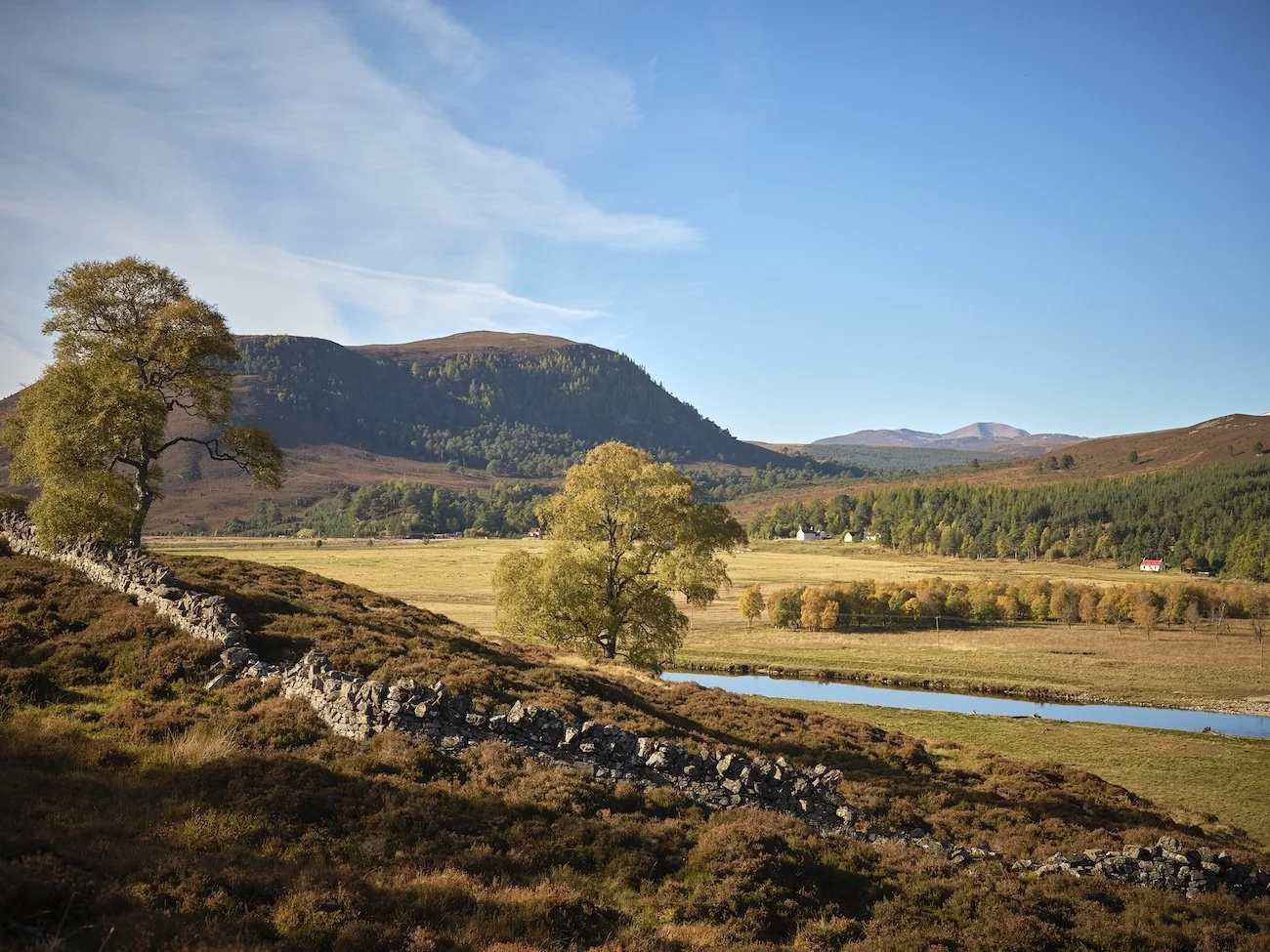 A valley in  The Cairngorms National Park in autumn