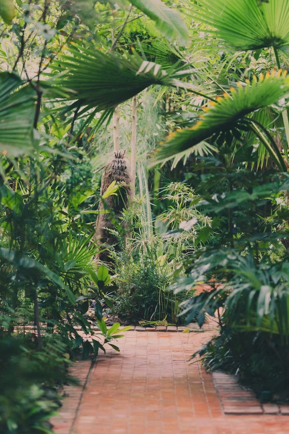 A pathway lined with terracotta tiles fades into tropical foliage
