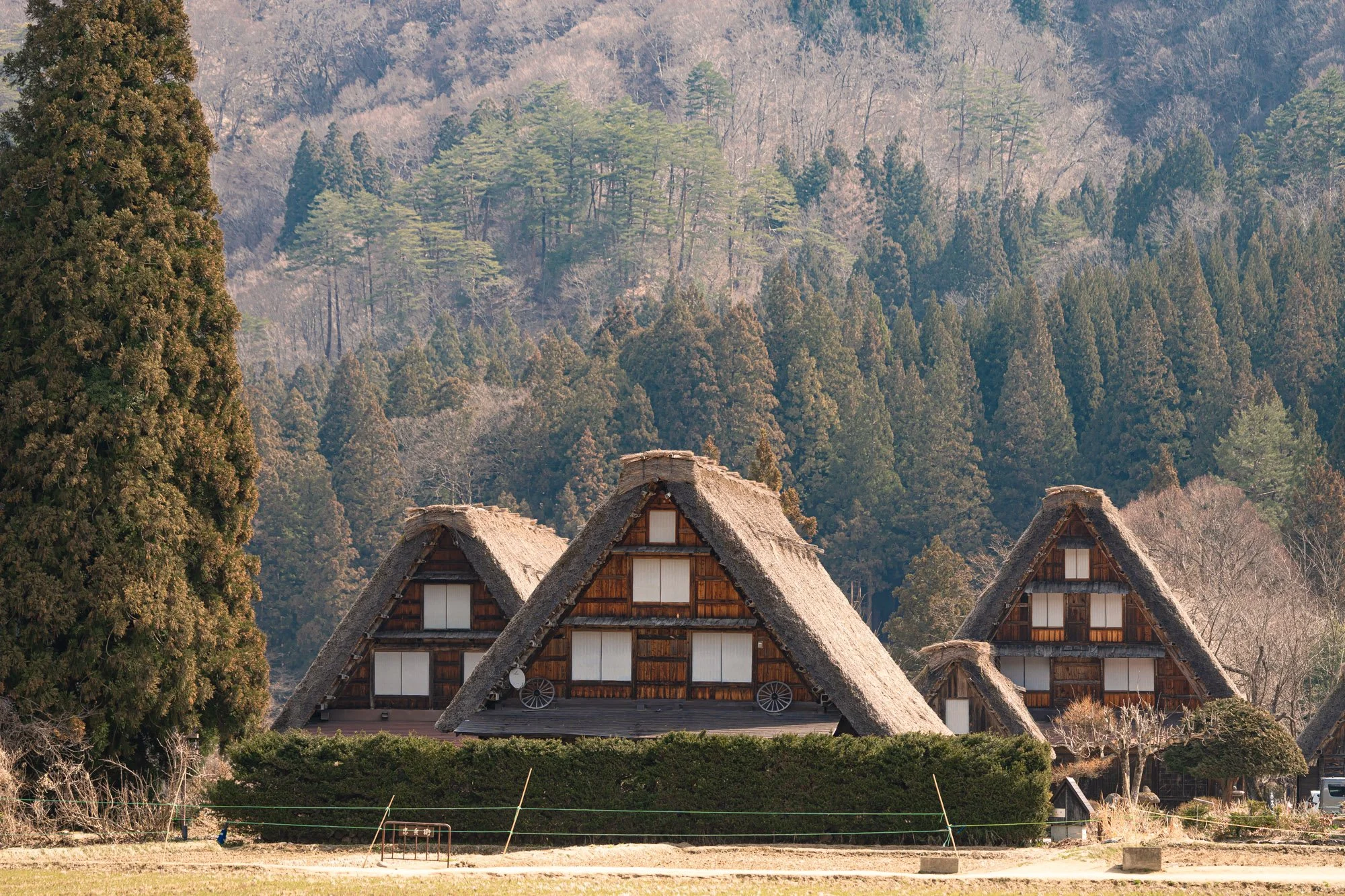 Three that-roof houses stand at the base of a mountain in Shirakawa-go, Japan