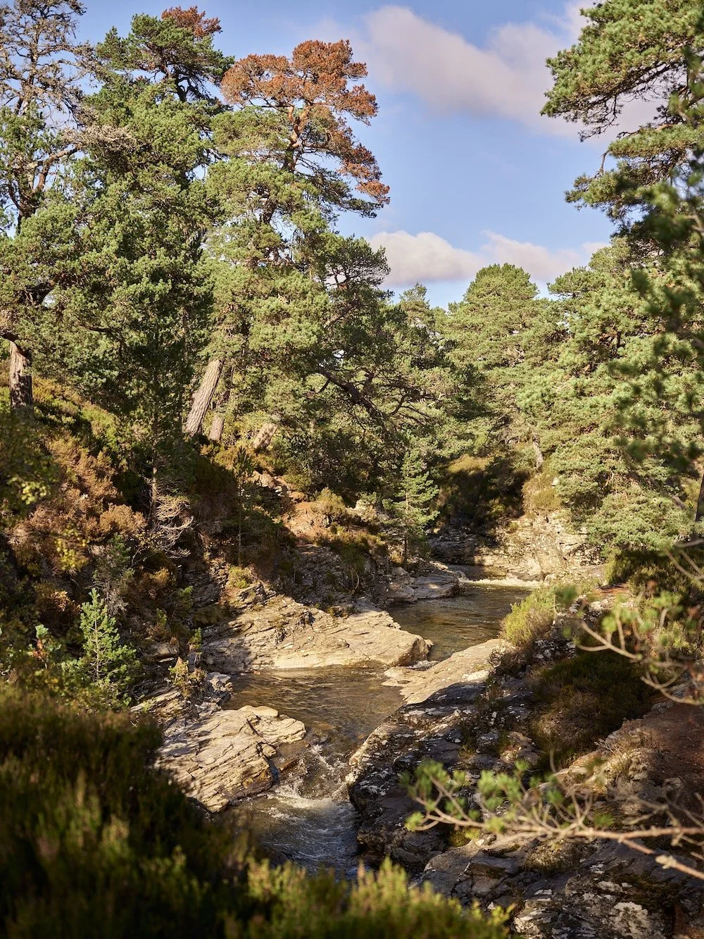 A river twists through a leafy valley, the trees starting to glow red with autumn's arrival
