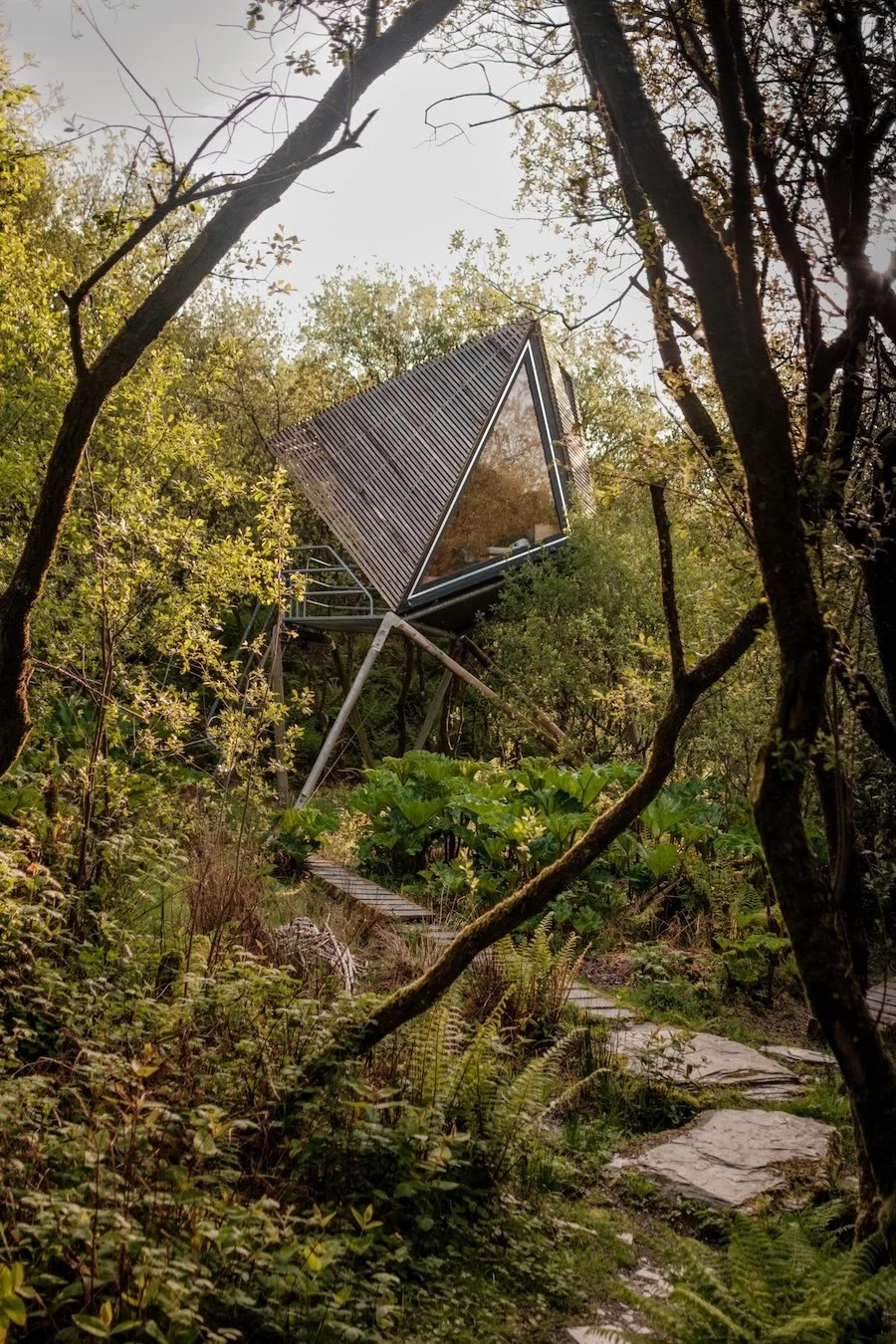 A geometric, one-bedroom wood and glass cabin is suspected above a Cornish woodland