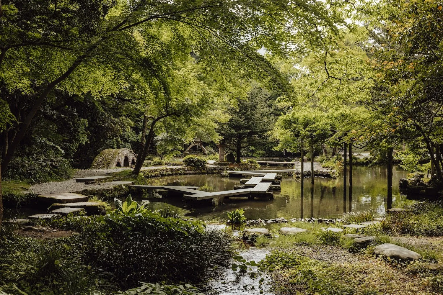 Meet the Photographer - Bronwyn Townsend